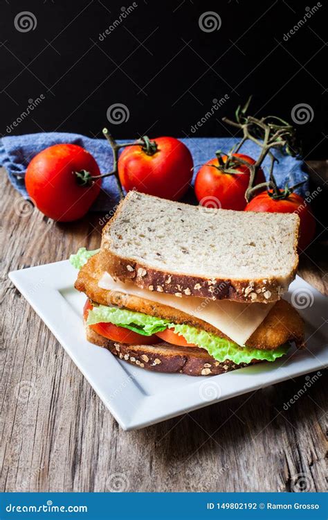 Breaded chicken sandwich stock photo. Image of onion - 149802192