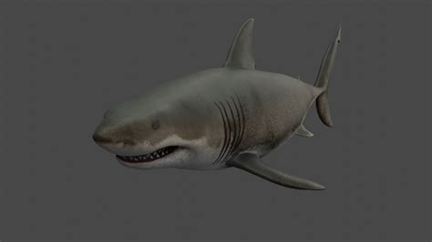 Download free OBJ file Great White Shark • 3D printer model ・ Cults