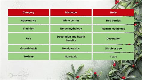 Who’d Win This Christmas Fight, Mistletoe Or Holly?