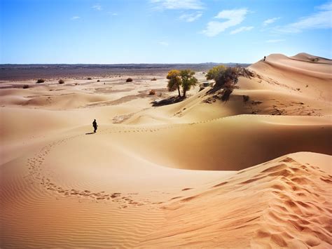 Lost in Desert Inner Mongolia by Suchet Suwanmongkol on 500px | Inner ...