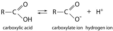 Carboxyl Group