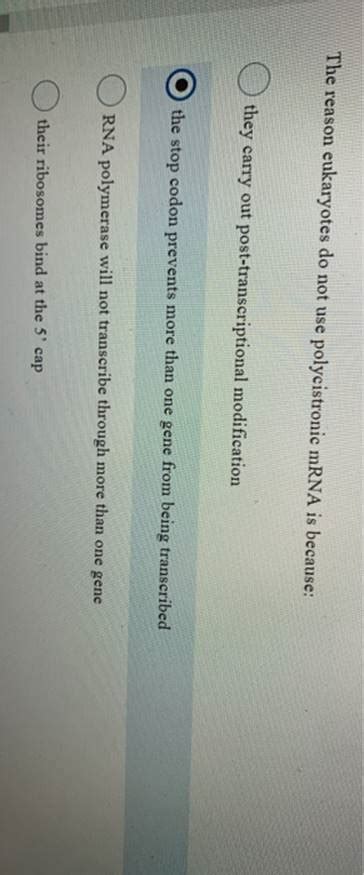 (Solved) - The Reason Eukaryotes Do Not Use Polycistronic MRNA Is Because:... (1 Answer ...