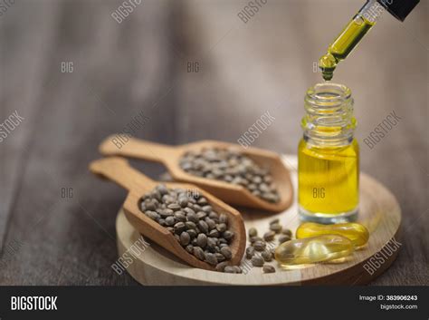 Hemp Seeds Hemp Oil On Image & Photo (Free Trial) | Bigstock