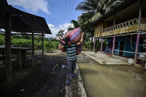 Colombia's Radical New Approach to Cocaine