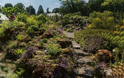 Botanical Garden Munster (Muenster) - 2019 All You Need to Know BEFORE You Go (with Photos ...