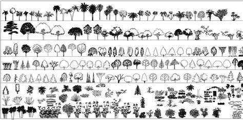 Tree Blocks-tree elevation - 【Free Download Architectural Cad Drawings】