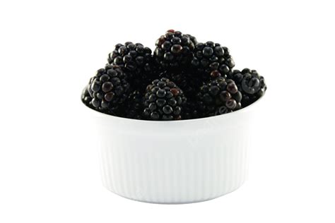 Blackberries In A Small Round Dish Health, Fresh, Group, Snack PNG Transparent Image and Clipart ...