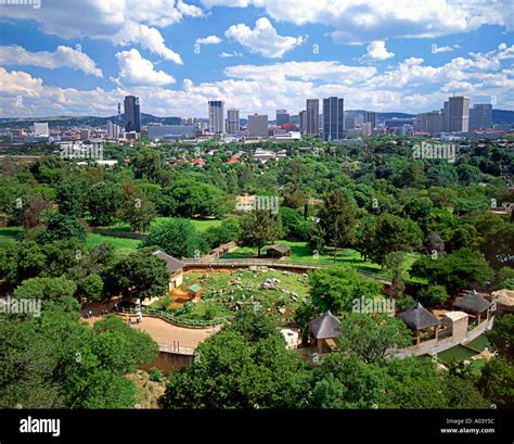 A view of Pretoria from the grounds of the Pretoria Zoo in South Africa ...