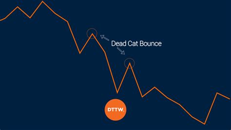 How to Spot a 'Dead Cat Bounce' (+ Strategies to Trade It) | Real Trading