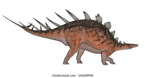 Kentrosaurus Dinosaur Lots Spike On Back Stock Illustration 142609990 ...