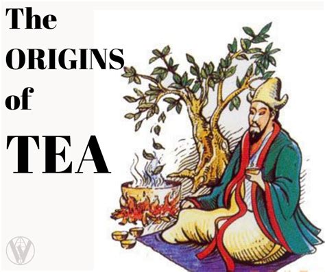 The Origin of Tea – Wwtea-Premium Chinese Tea Singapore