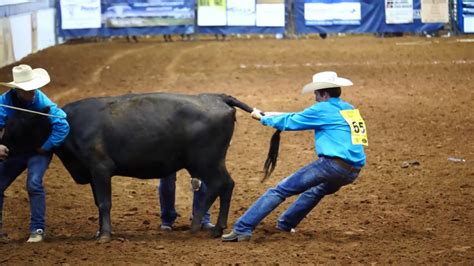 Oklahoma Cattlemen's Association Ranch Rodeo - YouTube