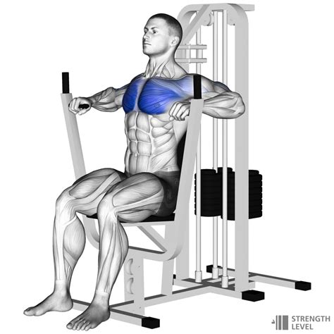 Chest Press Standards for Men and Women (lb) - Strength Level