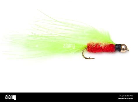 yellow cat trout lure isolated on a white studio background Stock Photo - Alamy