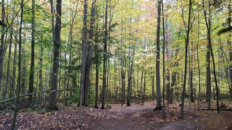 Stowe, Vermont Hiking Trails: Cady Hill Forest | Go Stowe