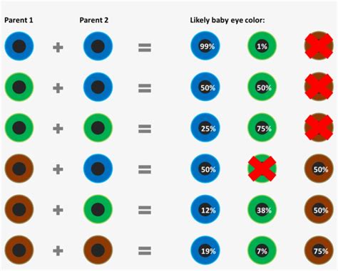 3 facts about eye color genetics eye color chart eye color chart - all you need to know about at ...