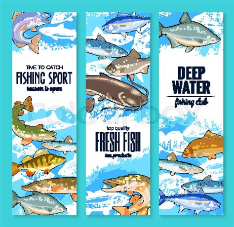 Fresh fish banner set for seafood ... | Stock vector | Colourbox