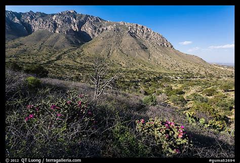 » Guadalupe Peak Summit trail - from QT Luong's Blog