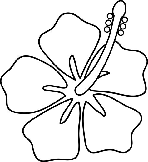 White hibiscus flower clipart 20 free Cliparts | Download images on Clipground 2024