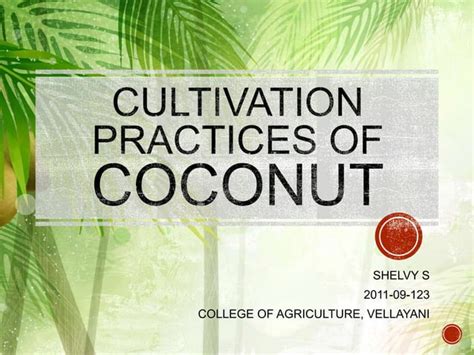 CULTIVATION PRACTICES OF COCONUT | PPT