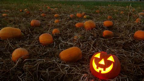 PUMPKIN PATCH MAP: Where you can get your Jack-O-Lantern this Halloween - ABC30 Fresno