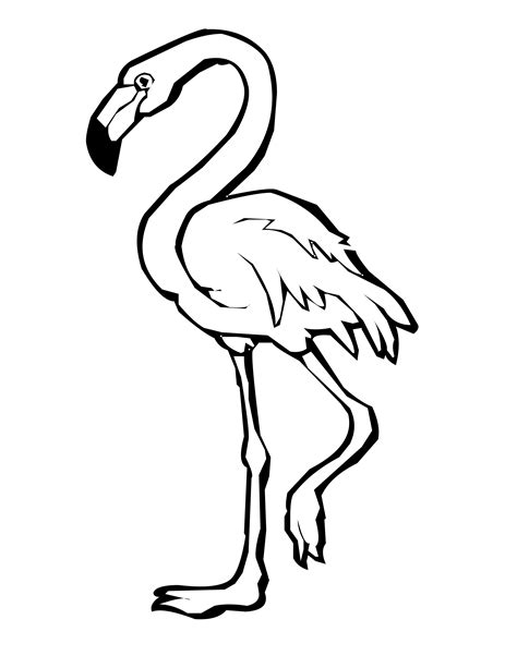 Printable Flamingo Coloring Pages - Printable Word Searches