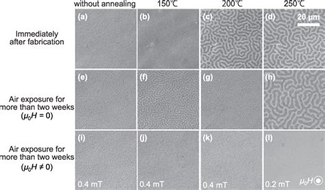 Magnetic domain pattern of the magnetic thin film observed using MOKE ...