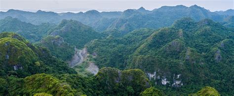 Cat Ba National Park | Northern Vietnam | Halong Bay Tours