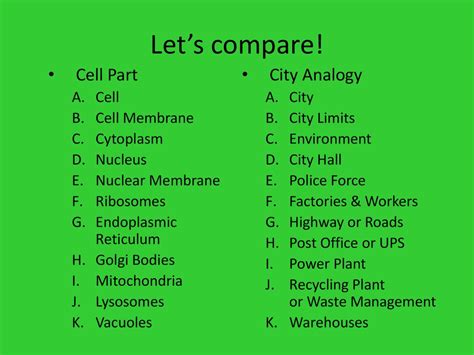 Plant Cell City Analogy Project