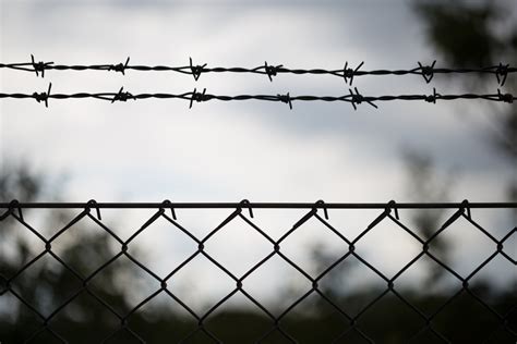 Free Images : branch, fence, barbed wire, sunlight, steel, line, metal ...