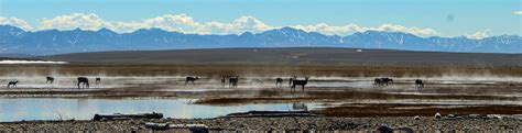 Arctic National Wildlife Refuge Base Camp Trip with Arctic Wild