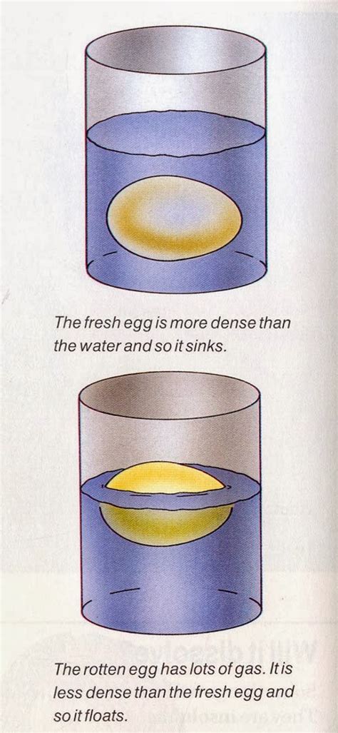 Water Test for Eggs - Test Eggs for Freshness - Ency123