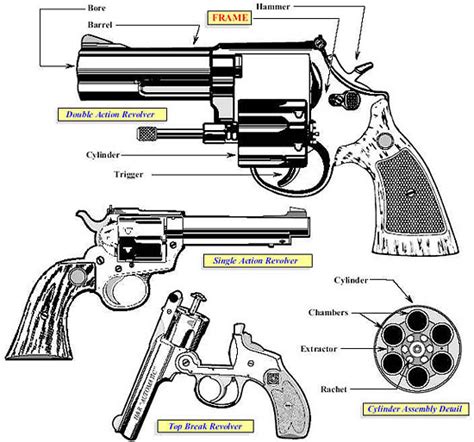 Firearms - Guides - Importation & Verification of Firearms - Gun ...