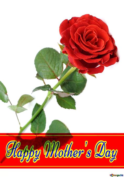 Happy Mothers Day With Rose Download free picture №177663