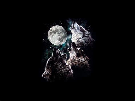 3 wolf moon howling Moon Night sky stars three trio wolves HD wallpaper ...