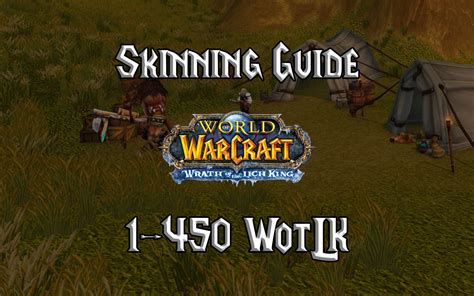 Skinning Guide 1-450 - (WotLK) Wrath of the Lich King Classic - Warcraft Tavern