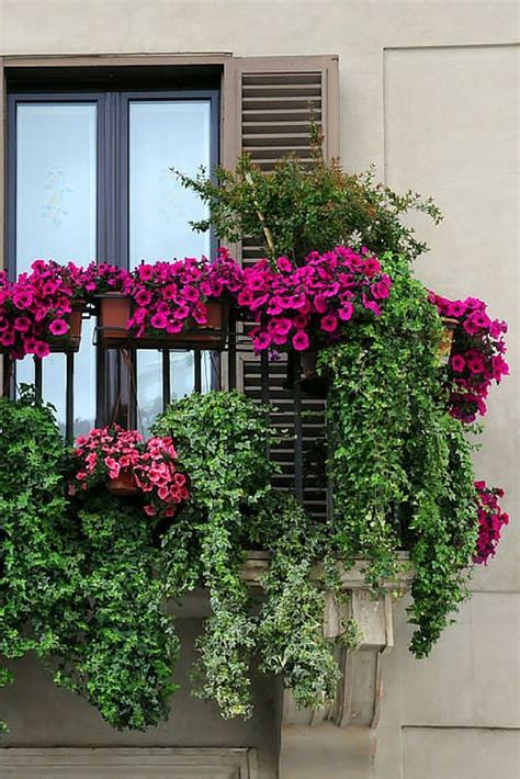 Creative Balcony Garden Design Ideas for Gardeners | Boo Gardening