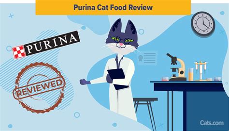 Unbiased Purina Cat Food Review In 2023 - Cats.com