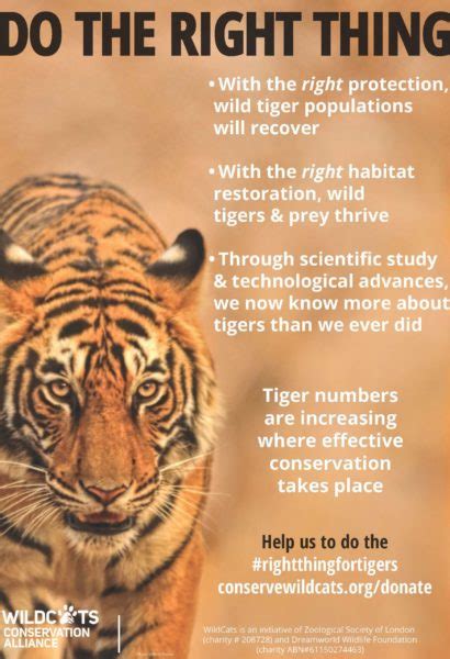 WildCats Posters & Leaflets | WildCats Conservation Alliance