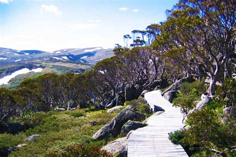 Australian Alps – For The Tallest Peaks In Mainland Australia