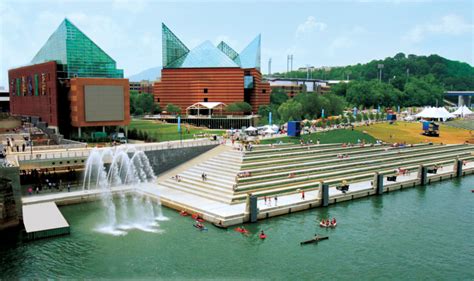 6 Fun Facts About the Tennessee Aquarium in Chattanooga