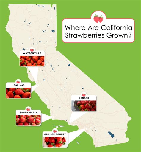 Where Strawberries are Grown - California Strawberry Commission