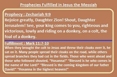 Prophecies fulfilled in Jesus the Messiah: Prophecy: Zechariah 9:9 ...