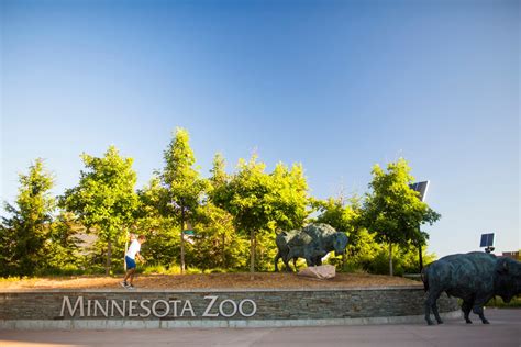 Minnesota Zoo: What to Know Before You Go Family Guide