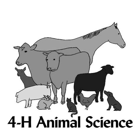 Animal Science Clipart Black