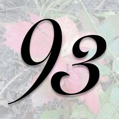 Number 93 Meaning