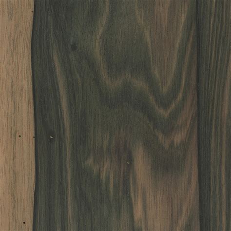 Malaysian Blackwood | The Wood Database (Hardwood)