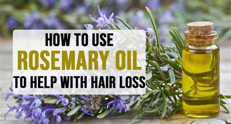 How To Use Rosemary Oil To Help With Hair Loss - Remedies Lore