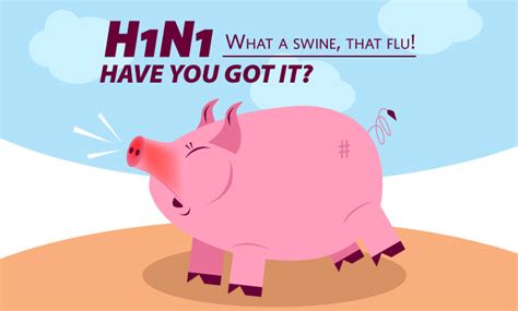 Swine Flu Symptoms - HealthKart