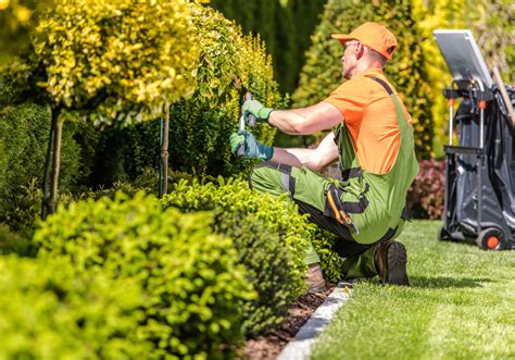 What Are the Environmental Benefits of Green Landscaping?